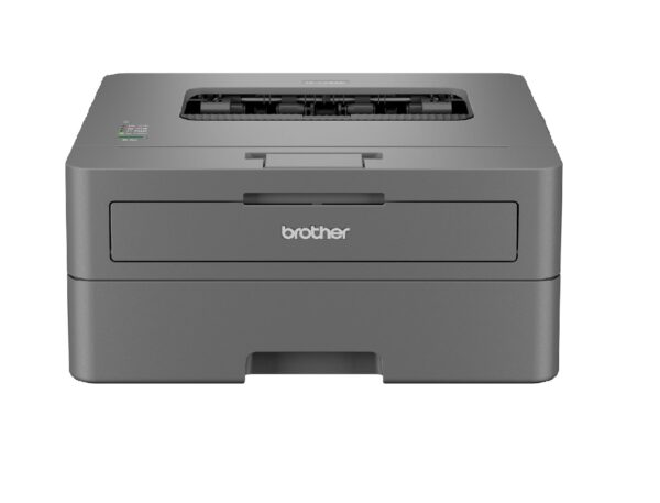 Brother HL-L2400D Printer